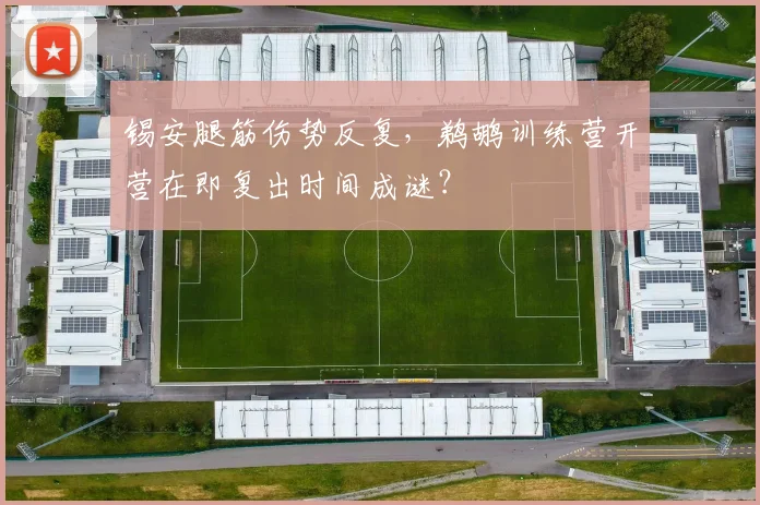 锡安腿筋伤势反复，鹈鹕训练营开营在即复出时间成谜？
